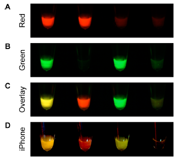 Colorimetric LAMP: Advantages Over TaqMan and Other Molecular Assays