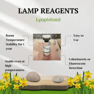 DNA Colorimetric LAMP Assay Kit Plus - Lyophilized 10-25 uL Reactions